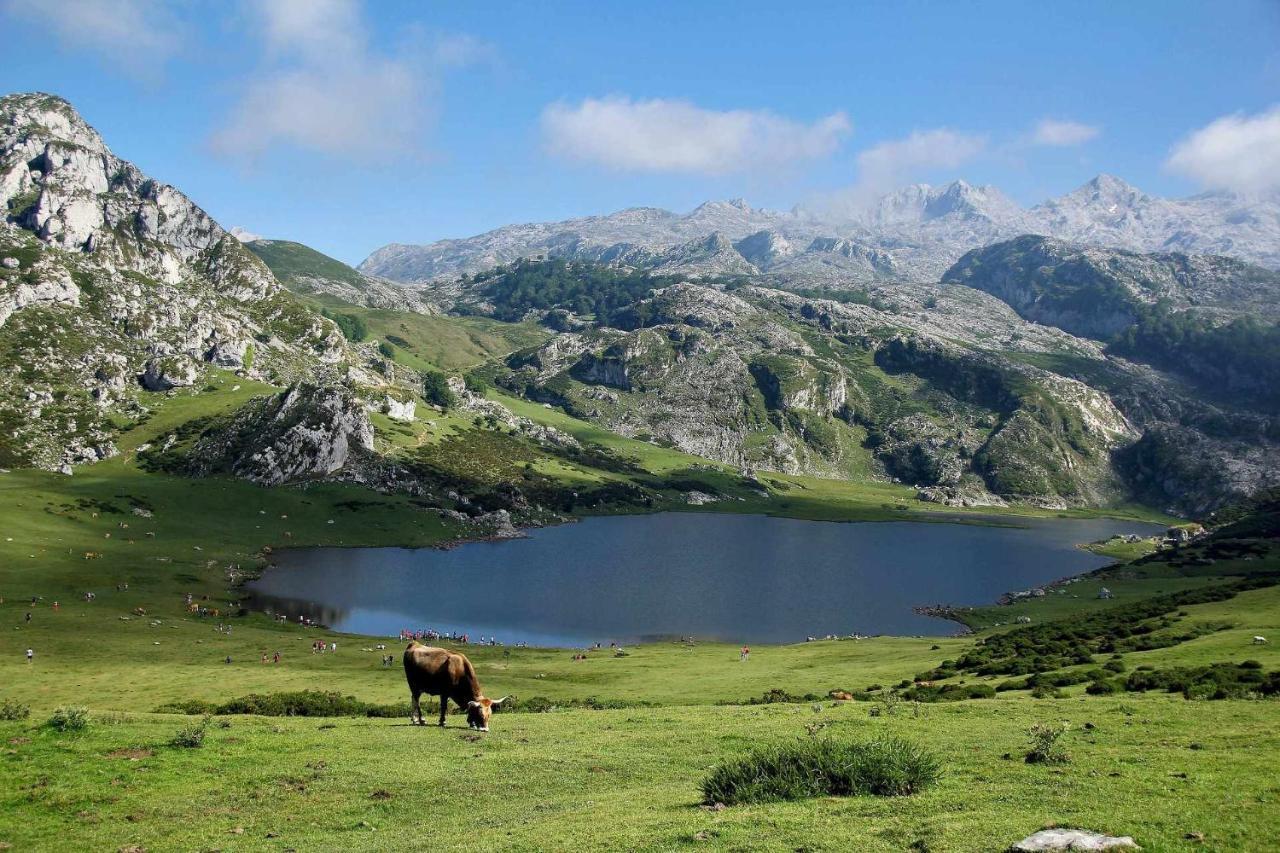 Casa Noval Zona Rural En El Centro De Asturias Διαμέρισμα Bimenes Εξωτερικό φωτογραφία